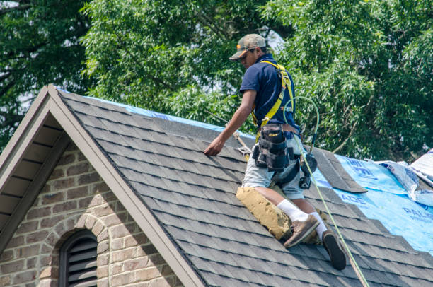 Best Roof Maintenance Services  in Herald, CA